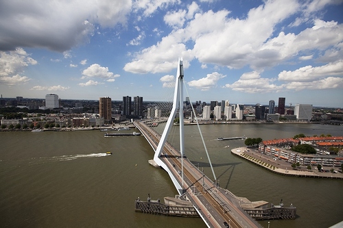 Rotterdam una dinamica metropoli che sorge direttamente sull’acqua